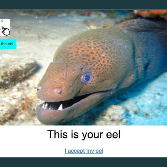 Meet your Posher, Kevin - Picture 1 of 1